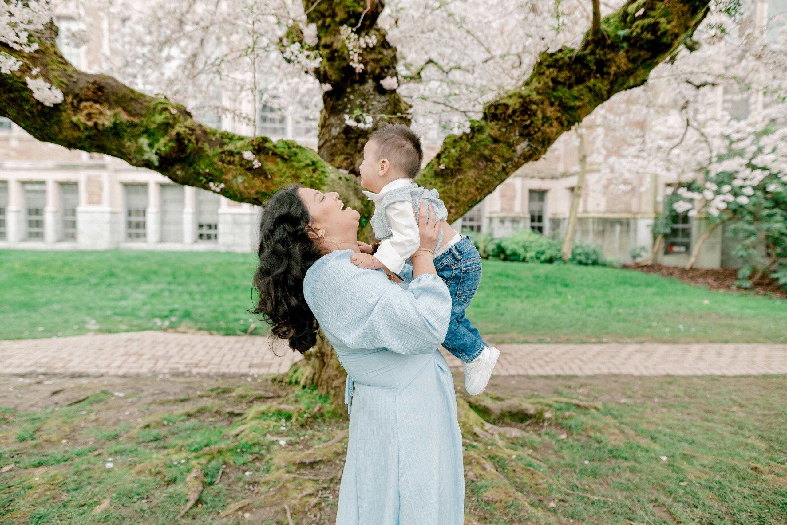 university of washington cherry blossom photos