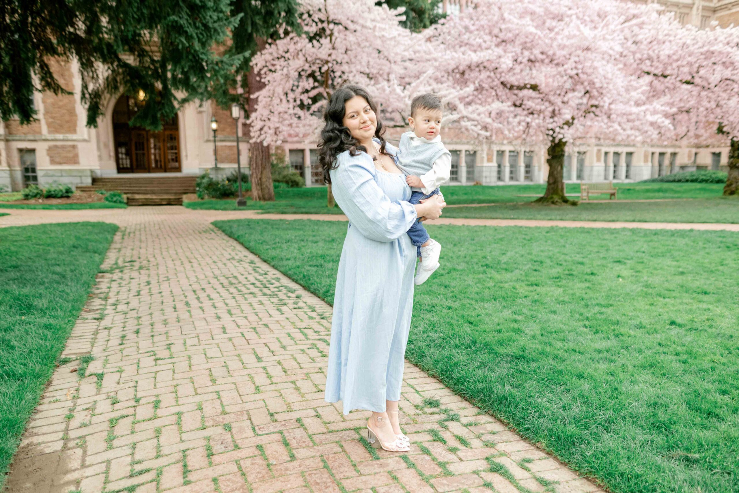 UW Cherry Blossoms